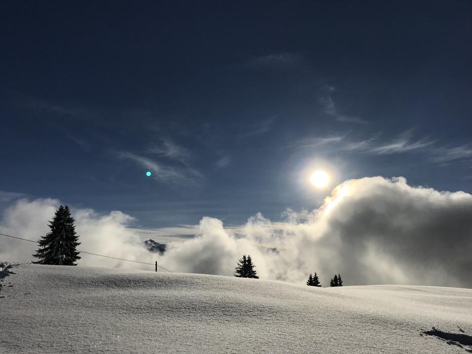 Snow Landscape Winter