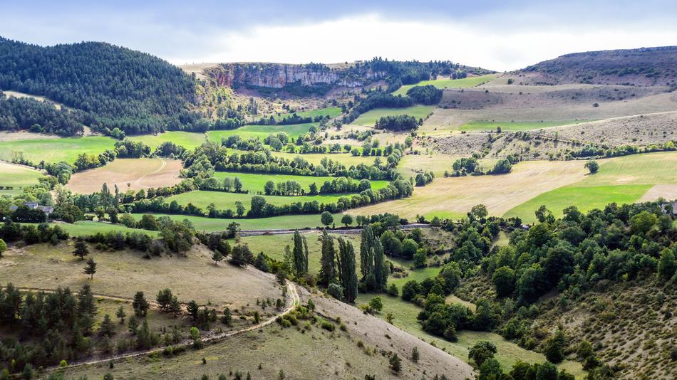 Lozere Field Landscape