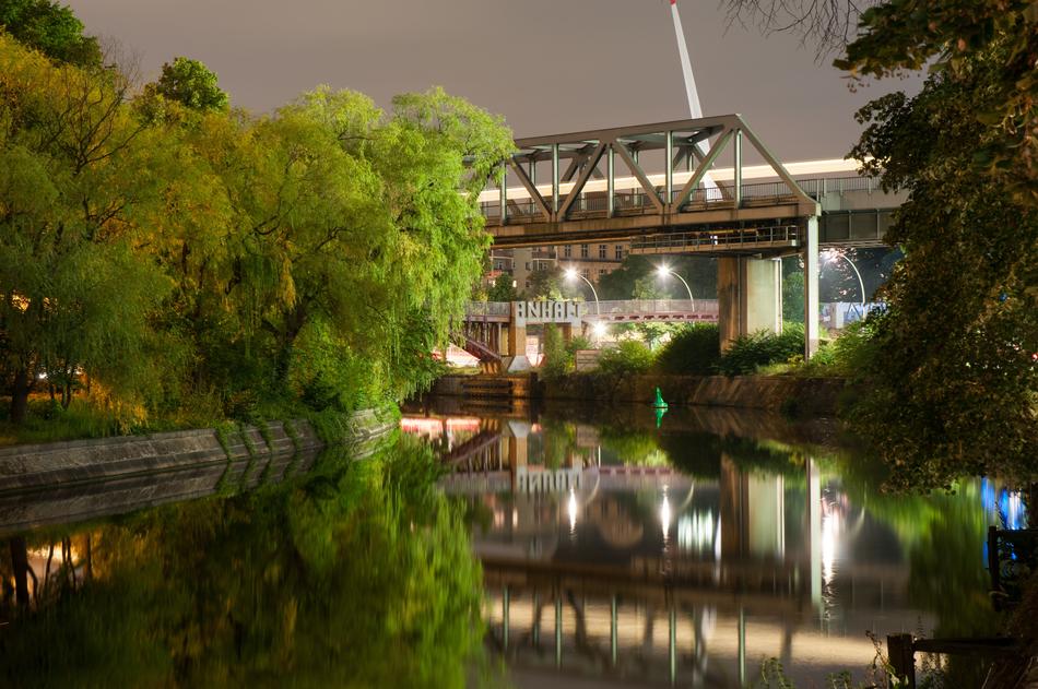 Water Tree Garden