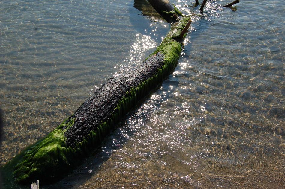 Waters Nature Sea