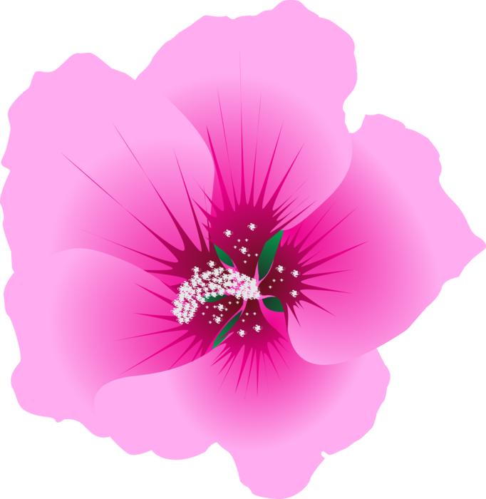 flower garden green nature leaf