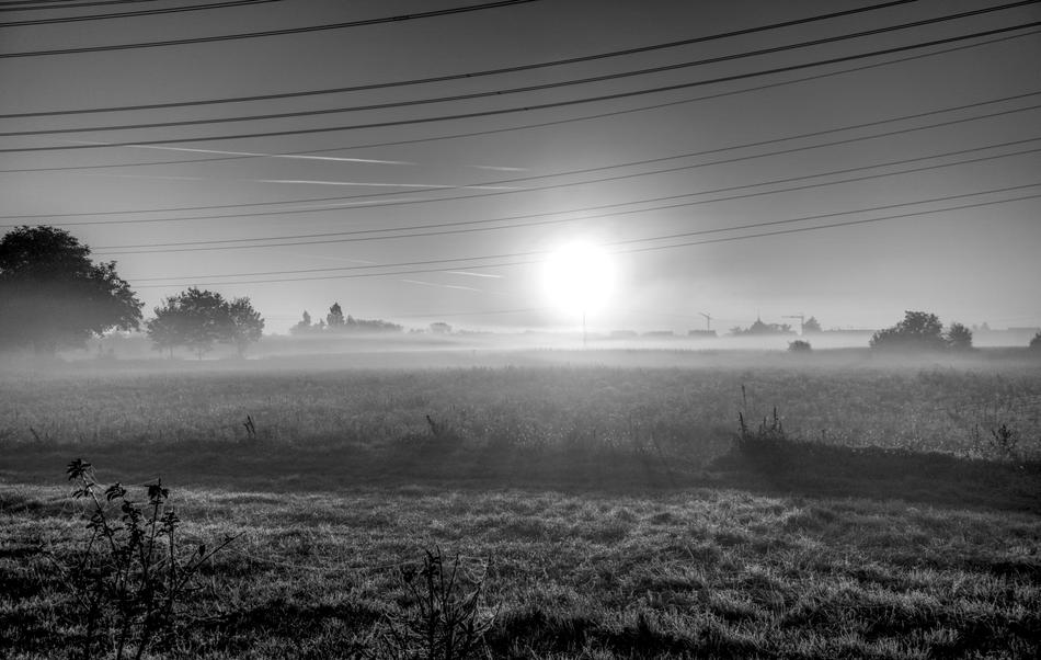 Sunrise Sun Fog