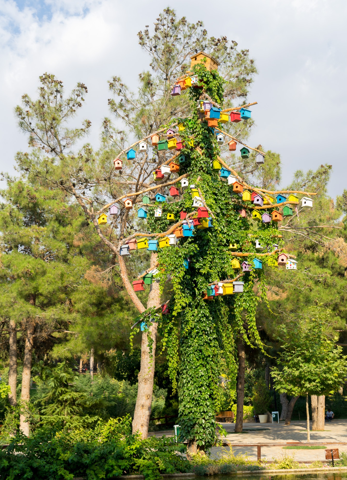 Bird Tree free image download