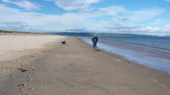 Beach Highlands Scotland Dogwalk