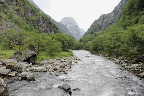 River Landscape Flow