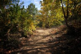 Nature Wood-Fibre Boards Landscape