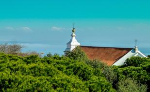 church hidden in the trees