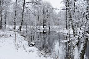 Winter Snow Frost
