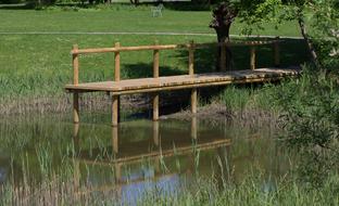 Waters Nature Web