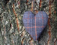 Heart The Bark Tree