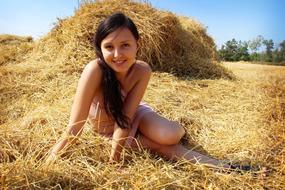 Hay Straw Nature