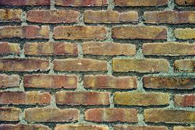 Brick Wall Yellow