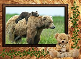 Animals Family Nature