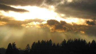 the magnificent landscape of the sunrise