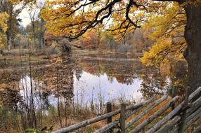 Fence Outdoor Autumn