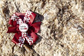 Nature Flower Outdoors