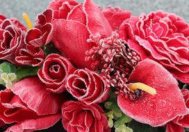 Flower Rose Petal Red