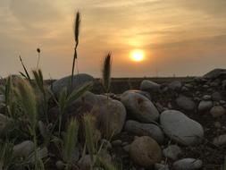 Sunset Nature Landscape