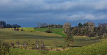 Nature Grass Landscape