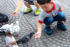 Kids and pigeons on street