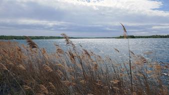 Waters Nature Sky