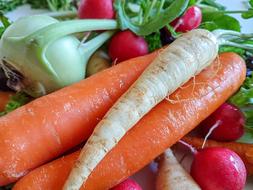 healthy root crops