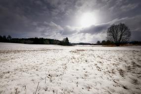 Nature Waters Landscape