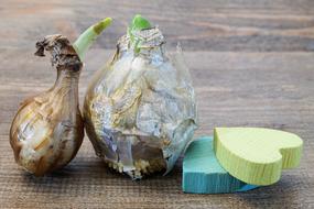beautiful glass vases on the table.