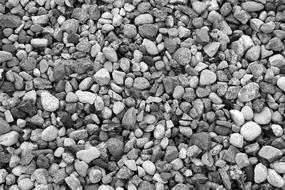 Pebbles Stone Texture