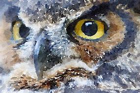 nature water outdoors watercolour