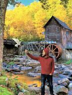 Autumn Outdoor Nature Wood-Fibre
