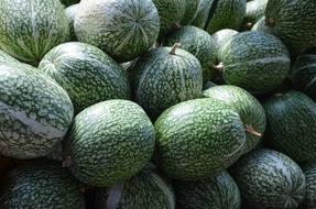 Pumpkin Green Autumn