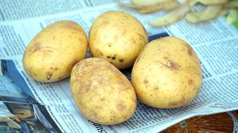 four potatoes on the paper