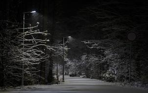 Darkness Tree No One