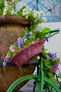flowers in a pot on a bicycle