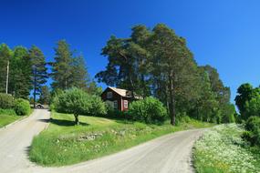 Sweden Nature Road
