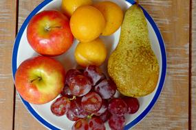 Juicy sweet fruit on a plate
