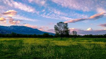 Nature Panoramic Landscape