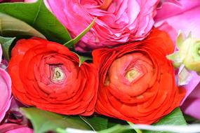 Flower Bouquet Of Flowers Petal