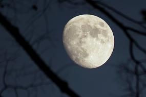 Japan Natural Landscape
