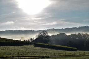 the landscape of a field in sunlight