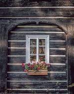 Window Wood House