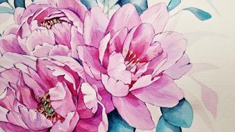 art painting flowers peonies pink