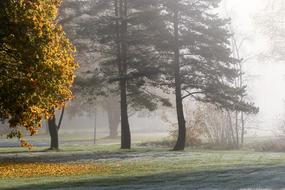 Landscape Autumn Fall