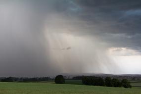 Landscape Rain Forward