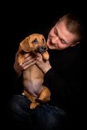Dog Portrait Cute