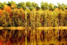 Nature Autumn Landscape