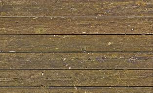 Wood Boards Floor