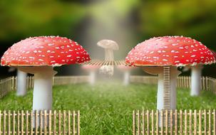 Garden Fantasy Imagination