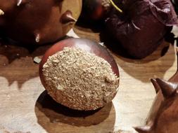 Chestnut Autumn Fruits